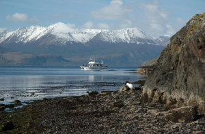Beagle channel